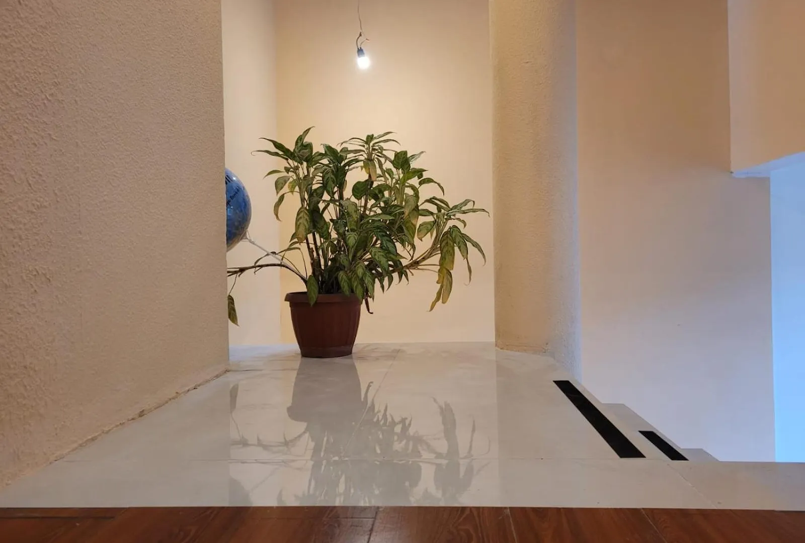 Casa Colon Quito Bed & Breakfast Hostel